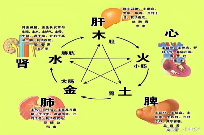 ҽɭΪθøСЧ(ͼ2)